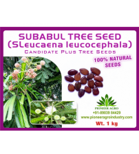Subabul / Safed babool Tree Seed 1 Kg